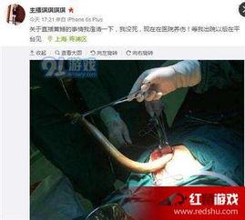 女主播黄鳝视频torrent